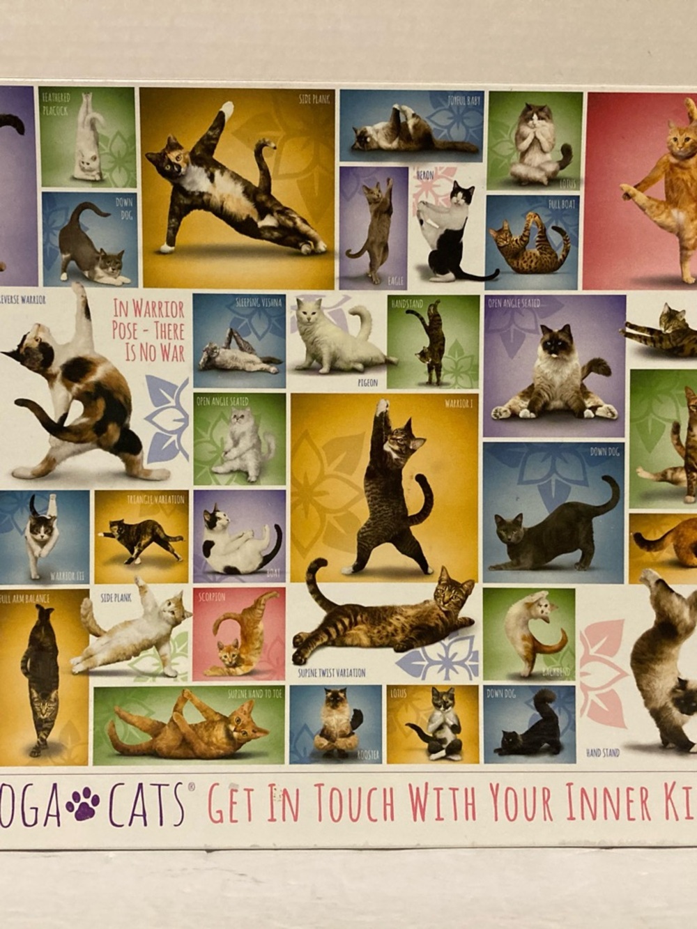 Eurographics Yoga Cats “Get in Touch Inner Kitty” Jigsaw Puzzle 1000 Pc Complete